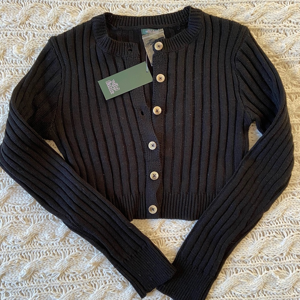 NWT Wild Fable Cropped Sweater
